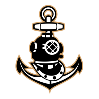 BSDTC Logo PNG Vector