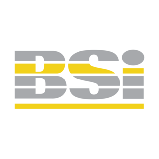 BSi Logo PNG Vector