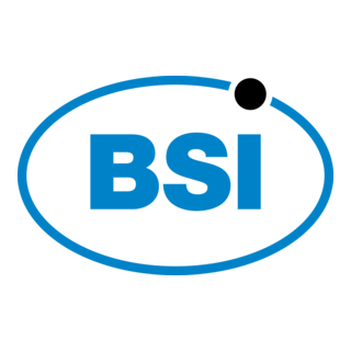 BSI Logo PNG Vector
