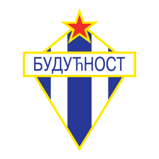 Buducnost Logo PNG Vector