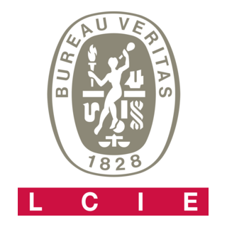 Bureau Veritas Logo PNG Vector