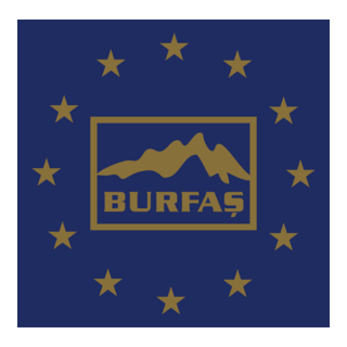 BURFAŞ Logo PNG Vector