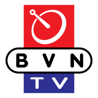 BVN TV Logo PNG Vector