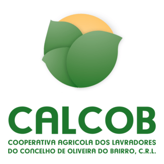 calcob Logo PNG Vector