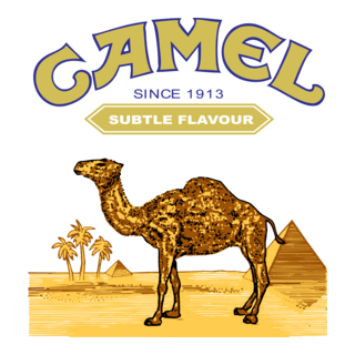 Camel Logo PNG Vector