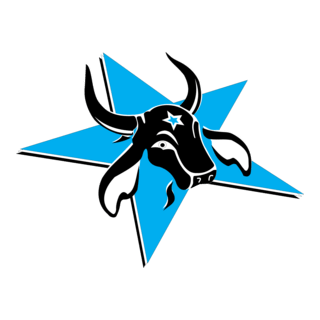 Caprichoso Logo PNG Vector