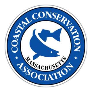 CCA Logo PNG Vector