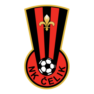 Celik Logo PNG Vector