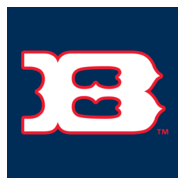 Boise Hawks Logo PNG Vector