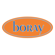 Boray Motorlu Araclar Logo PNG Vector