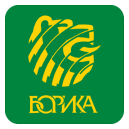 BORIKA Logo PNG Vector