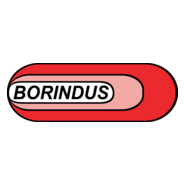 Borrachas Borindus Logo PNG Vector