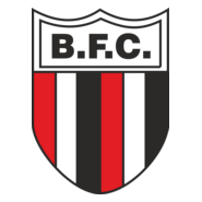Botafogo Futebol Clube Logo PNG Vector