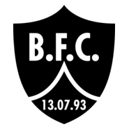 Botafogo Futebol Clube Logo PNG Vector