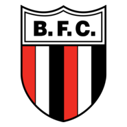 Botafogo SP Logo PNG Vector