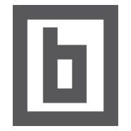 braulio.biz Logo PNG Vector