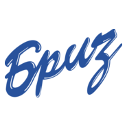 Briz Logo PNG Vector