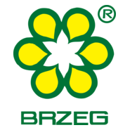 Brzeg Logo PNG Vector