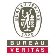 Bureau Veritas Group Logo PNG Vector