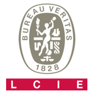 Bureau Veritas Logo PNG Vector