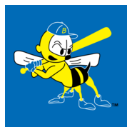 Burlington Bees Logo PNG Vector
