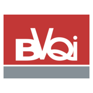 BVQI Logo PNG Vector