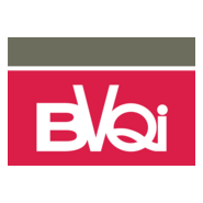 BVQI Logo PNG Vector