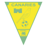 Caernarfon Town FC Logo PNG Vector