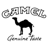 Camel Logo PNG Vector