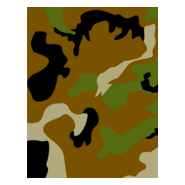 Camo Logo PNG Vector