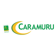 Caramuru Logo PNG Vector