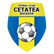 Cetatea Suceava Logo PNG Vector