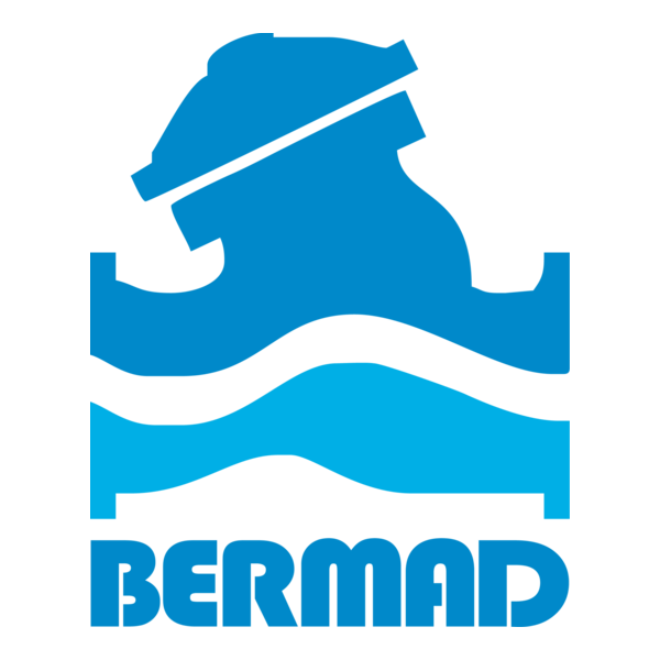 BERMAD Control Valves Logo PNG Vector