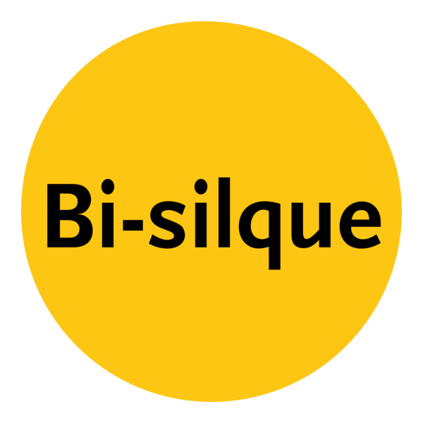 Bi-silque Logo PNG Vector