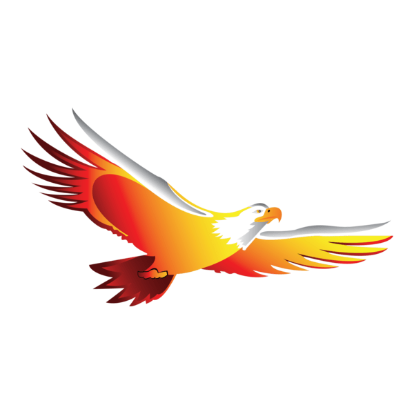 Eagle Logo PNG Vector