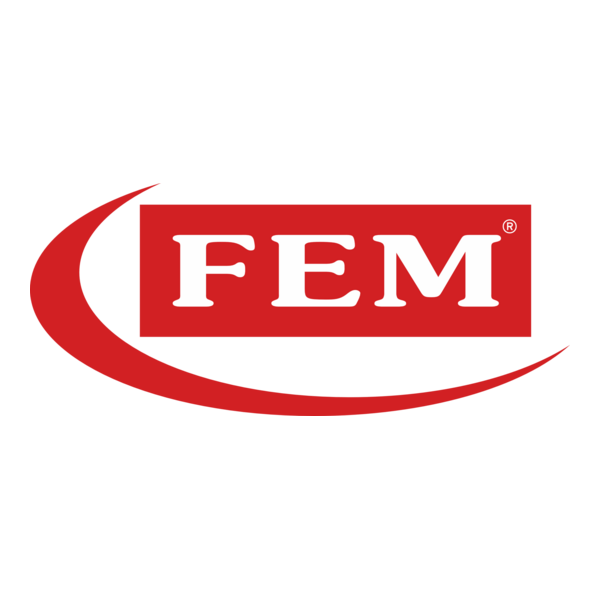 Fem Logo PNG Vector