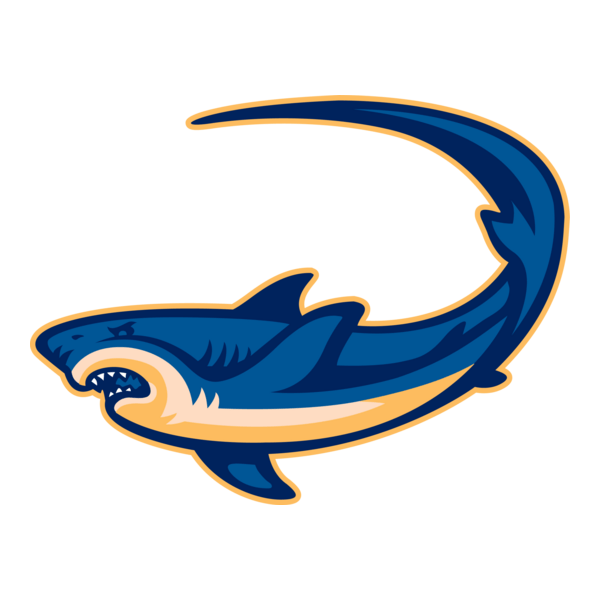 fish Logo PNG Vector