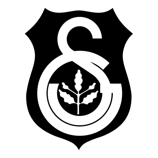 Istanbul United Logo PNG Vector