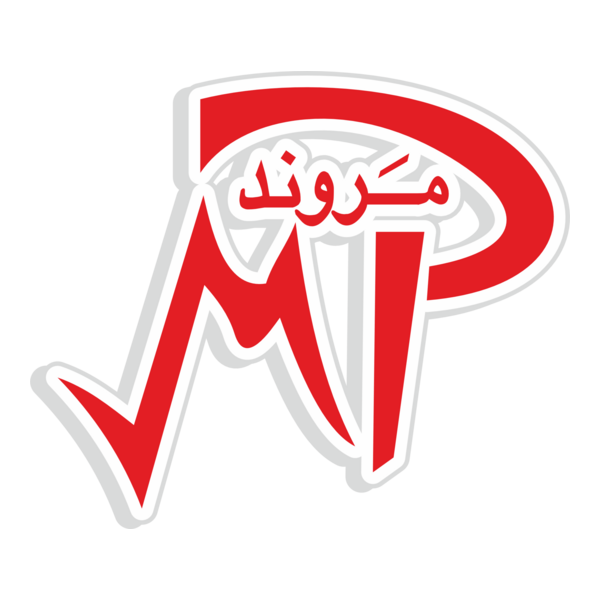 Marwand Printers Logo PNG Vector