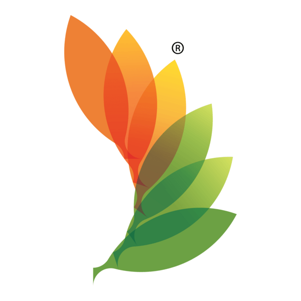 RACE_CLEAN ENERGY Logo PNG Vector