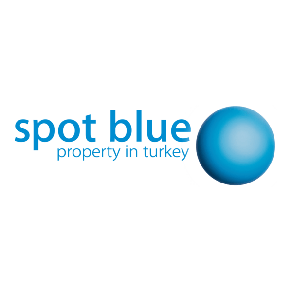 Spot Blue Logo PNG Vector
