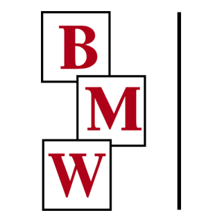 BMW Constructors Logo PNG Vector
