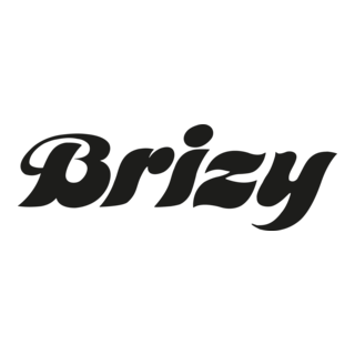 Brizy Logo PNG Vector