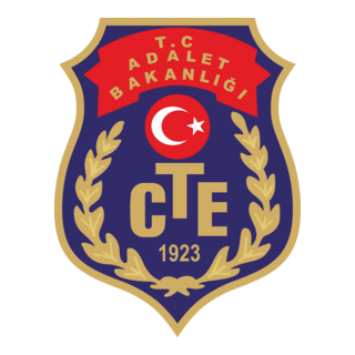 CTE Logo PNG Vector