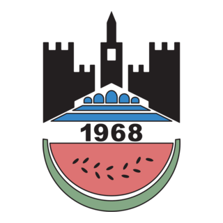 Diyarbakirspor Logo PNG Vector