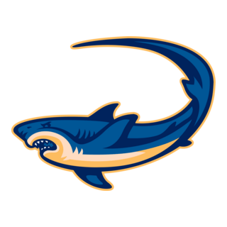 fish Logo PNG Vector