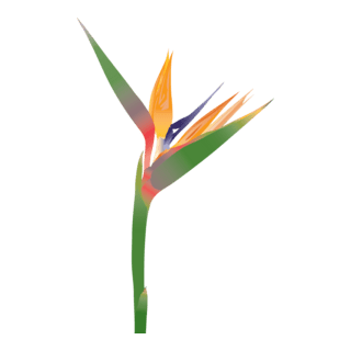 flower Logo PNG Vector