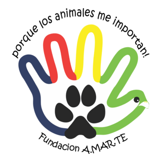 FUNDACION AMARTE Logo PNG Vector