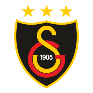 Galatasaray Mulheim Logo PNG Vector