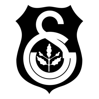 Istanbul United Logo PNG Vector